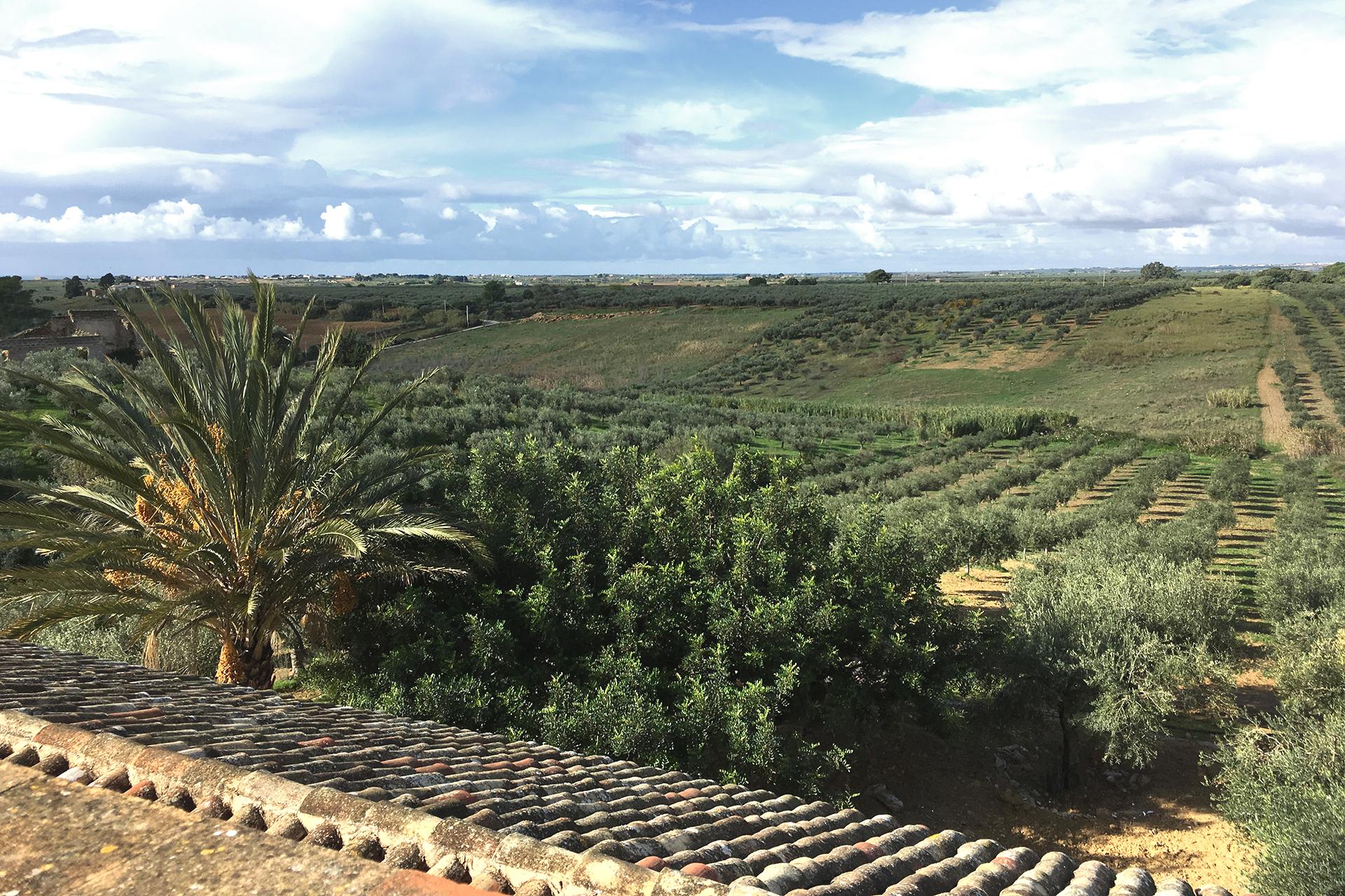 Momentum Wellness Bio Resort Castelvetrano Exteriör bild